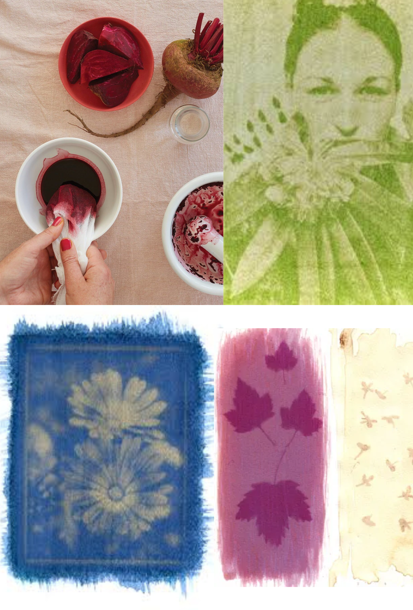 Imagen de Taller de Antotipia